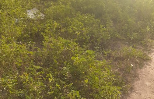 Poço Branco Notícias