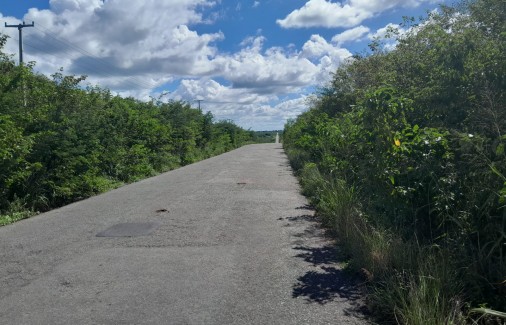 Poço Branco Notícias