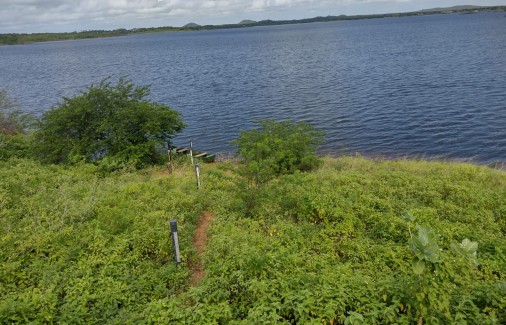 Poço Branco Notícias