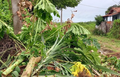 Poço Branco Notícias