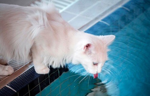 Poço Branco Notícias