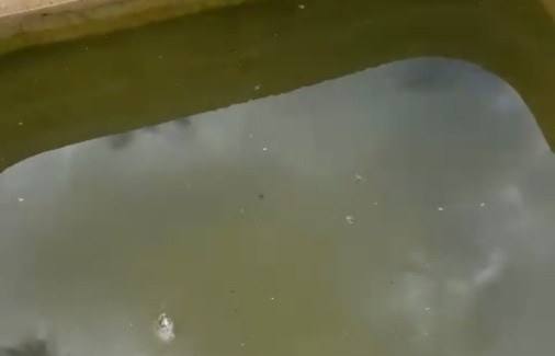 Poço Branco Notícias