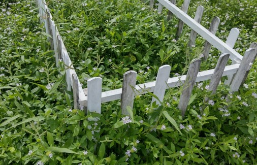 Poço Branco Notícias