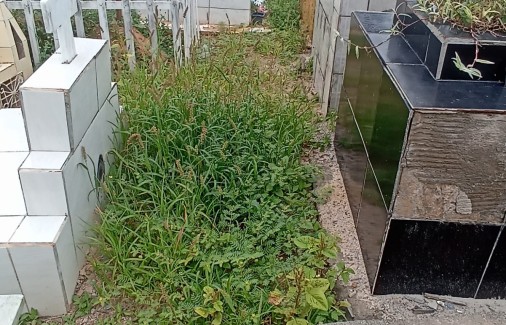 Poço Branco Notícias