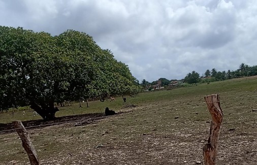 Poço Branco Notícias
