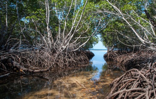 Poço Branco Notícias